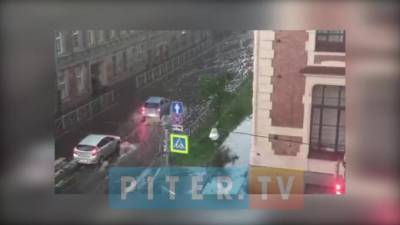 В Комитете по благоустройству подсчитали потери после мощной грозы - piter.tv