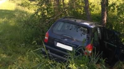 В Чашникском районе легковушка врезалась в дерево: пассажирка погибла на месте - belta.by - Минск - Орша - Лепель