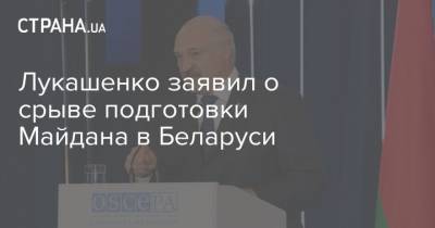 Александр Лукашенко - Лукашенко заявил о срыве подготовки Майдана в Беларуси - strana.ua - Белоруссия