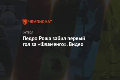 Педро Рош - Педро Роша забил первый гол за «Фламенго». Видео - championat.com - Москва - Рио-Де-Жанейро