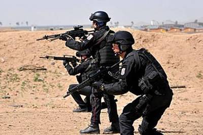 Андрей Серенко - НАТО ударит по терроризму учебным планом - ng.ru - Тунис - Иордания - Мавритания