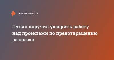 Владимир Путин - Путин поручил ускорить работу над проектами по предотвращению разливов - ren.tv - Россия - Норильск