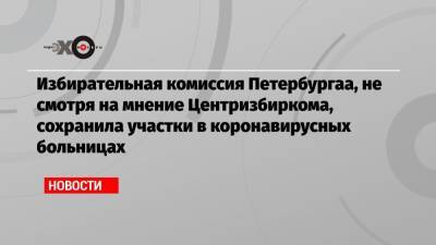 Элла Памфилова - Избирательная комиссия Петербургаа, не смотря на мнение Центризбиркома, сохранила участки в коронавирусных больницах - echo.msk.ru