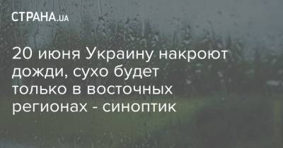 Наталья Диденко - 20 июня Украину накроют дожди, сухо будет только в восточных регионах - синоптик - strana.ua - Украина - Киев