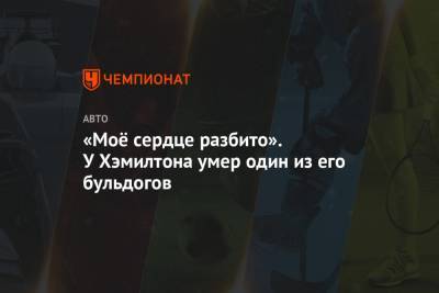 Льюис Хэмилтон - «Моё сердце разбито». У Хэмилтона умер один из его бульдогов - championat.com