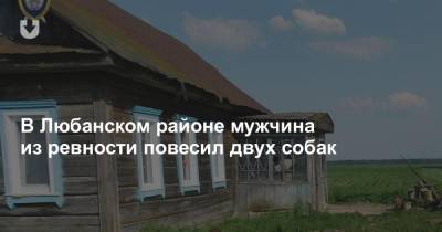 В Любанском районе мужчина из ревности повесил двух собак - news.tut.by - Белоруссия - район Любанский - Следственный Комитет