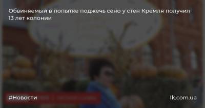 Обвиняемый в попытке поджечь сено у стен Кремля получил 13 лет колонии - 1k.com.ua - Москва - Россия