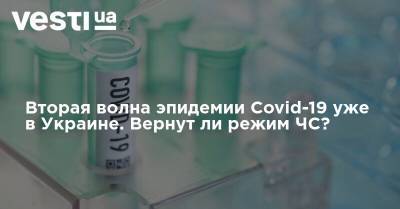 Денис Шмыгаль - Вторая волна эпидемии Covid-19 уже в Украине. Вернут ли режим ЧС? - vesti.ua - Украина