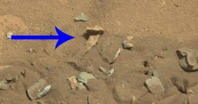 Откуда на Марсе взялись человеческие кости - popmech.ru