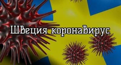 «Игнором вирус не прогнать». Шведская модель борьбы с коронавирусом не привела к улучшению ситуации - argumenti.ru - Швеция