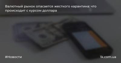 Андрей Шевчишин - Валютный рынок опасается жесткого карантина: что происходит с курсом доллара - 1k.com.ua - Украина