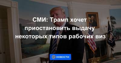 Кейли Макинэни - СМИ: Трамп хочет приостановить выдачу некоторых типов рабочих виз - news.mail.ru - США