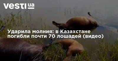Ударила молния: в Казахстане погибли почти 70 лошадей (видео) - vesti.ua - Казахстан - Карагандинская обл.