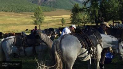 Разряд молнии убил 69 лошадей в Казахстане - newinform.com - Санкт-Петербург - Казахстан - Карагандинская обл.