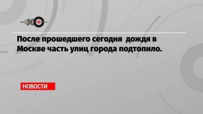 Илья Яшин - Петр Бирюков - После прошедшего сегодня дождя в Москве часть улиц города подтопило. - echo.msk.ru - Москва