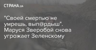 Владимир Зеленский - Петр Порошенко - Маруся Зверобой - "Своей смертью не умрешь, вып@рдыш". Маруся Зверобой снова угрожает Зеленскому - strana.ua - Украина