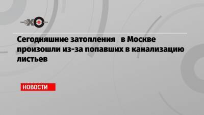 Илья Яшин - Петр Бирюков - Сегодняшние затопления в Москве произошли из-за попавших в канализацию листьев - echo.msk.ru - Москва