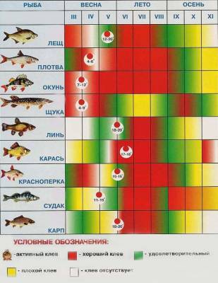 Лунный календарь рыболова на июнь: когда будет лучшая рыбалка - narodna-pravda.ua - Украина - Киев