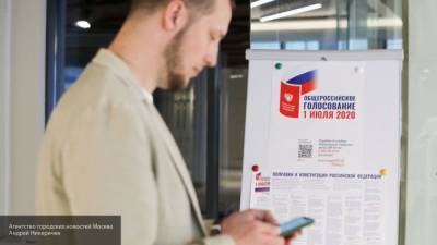 Евгений Шевченко - Россияне еще могут подать заявки для голосования по поправкам по месту пребывания - nation-news.ru - Москва - Россия