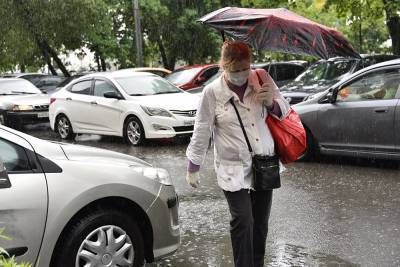 МЧС предупредило жителей столицы о грозе и сильном дожде утром воскресенья - vm.ru - Москва - Россия