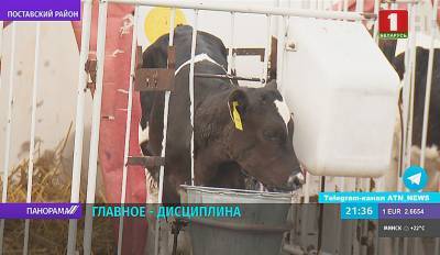 Поставский молочный завод - есть положительная динамика - tvr.by - Россия
