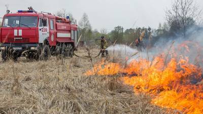 Более 66% пожаров в России возникали на открытых территориях - iz.ru - Россия
