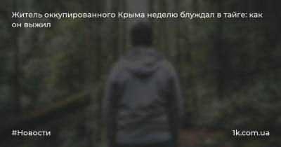 Житель оккупированного Крыма неделю блуждал в тайге: как он выжил - 1k.com.ua - Россия - Красноярский край - Крым - Симферополь