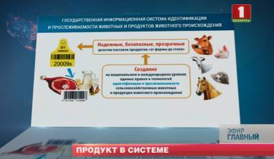 AITS-Ветбезопасность прослеживает продукты животного происхождения - tvr.by - Белоруссия
