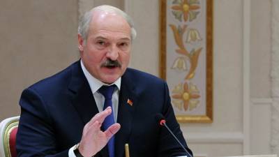 Александр Лукашенко - Лукашенко: Белоруссия не допустит у себя возрождения идей нацизма - russian.rt.com - Белоруссия - Минск - Гомельская обл. - район Светлогорский