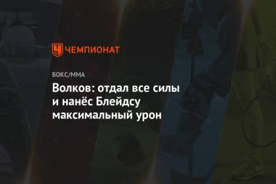 Александр Волков - Волков: отдал все силы и нанёс Блейдсу максимальный урон - championat.com