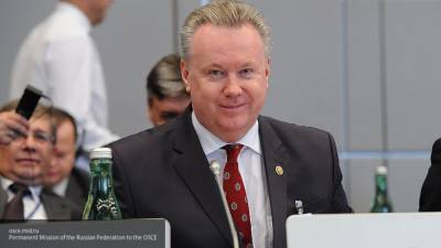 Александр Лукашевич - Украина выбрала тактику, которая привела минский процесс в тупик - polit.info - Россия - Украина - Киев