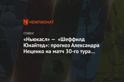 Александр Неценко - Стив Брюс - «Ньюкасл» — «Шеффилд Юнайтед»: прогноз Александра Неценко на матч 30-го тура АПЛ - championat.com