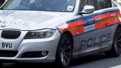 Полиция Великобритании расценивает поножовщину в Рединге как теракт - newinform.com - Англия - Рединг