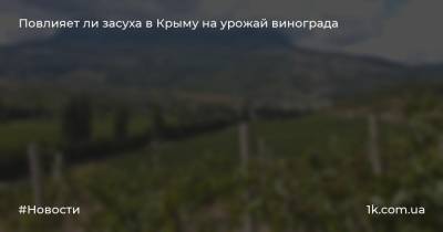 Янина Павленко - Повлияет ли засуха в Крыму на урожай винограда - 1k.com.ua - Крым