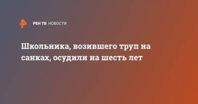 Школьника, возившего труп на санках, осудили на шесть лет - ren.tv - Саратовская обл. - Вольск
