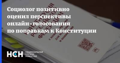 Виктор Потуремский - Социолог позитивно оценил перспективы онлайн-голосования по поправкам к Конституции - nsn.fm - Россия