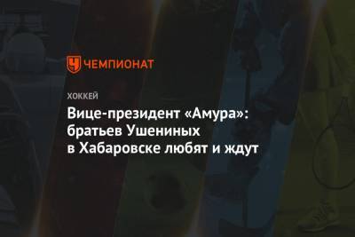 Вице-президент «Амура»: братьев Ушениных в Хабаровске любят и ждут - championat.com - Россия - Хабаровск