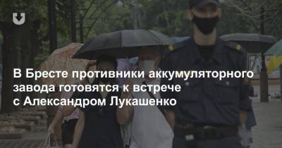 Александр Лукашенко - Александр Рогачук - В Бресте противники аккумуляторного завода готовятся к встрече с Александром Лукашенко - news.tut.by - Бреста - Брест