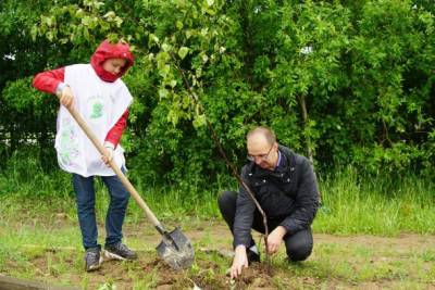 Аллею в Эжве украсили березы, клены и рябины - bnkomi.ru - респ. Коми - Сыктывкар