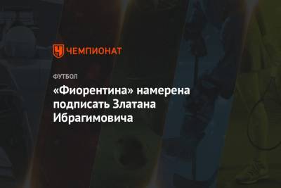Франк Рибери - Златана Ибрагимовича - «Фиорентина» намерена подписать Златана Ибрагимовича - championat.com - Италия - Швеция - Лос-Анджелес