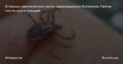 В Крыму увеличилось число заразившихся болезнью Лайма после укуса клещей - 1k.com.ua - Украина - Крым - Севастополь