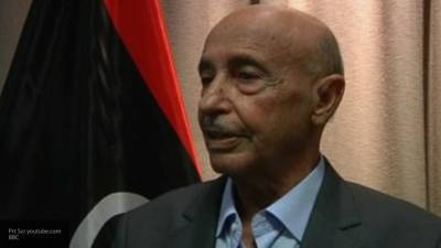 Агила Салех - Спикер Палаты представителей Ливии оценил идеи президента Египта по помощи ливийцам - politexpert.net - Египет - Ливия