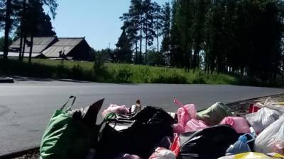 Жители Ленобласти жалуются на мусор недалеко от Новосаратовки - piter.tv - Ленинградская обл. - Санкт-Петербург