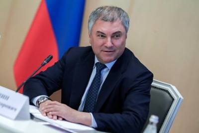 Вячеслав Володин - Володин ответил на призывы к бойкоту голосования по поправкам к Конституции - lenta.ru - Россия