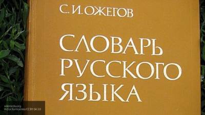 Руководитель проекта "Тотальный диктант" объяснил важность поправки о русском языке - polit.info - Конституция