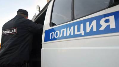 В Петербурге группа подростков избила пару уличных музыкантов - russian.rt.com - Санкт-Петербург