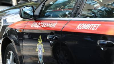СК возбудил дело после драки с ножевыми ранениями в Москве - iz.ru - Москва - Россия