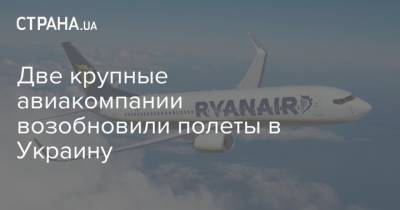 Две крупные авиакомпании возобновили полеты в Украину - strana.ua - Украина - Киев - Швейцария - Италия - Львов - Берлин - Одесса - Харьков - Мадрид