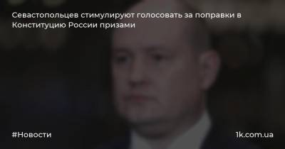 Михаил Развожаев - Севастопольцев стимулируют голосовать за поправки в Конституцию России призами - 1k.com.ua - Россия - Крым - Севастополь