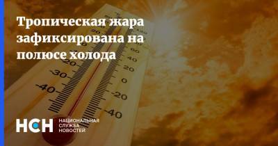 Тропическая жара зафиксирована на полюсе холода - nsn.fm - респ. Саха - Якутск - Верхоянск